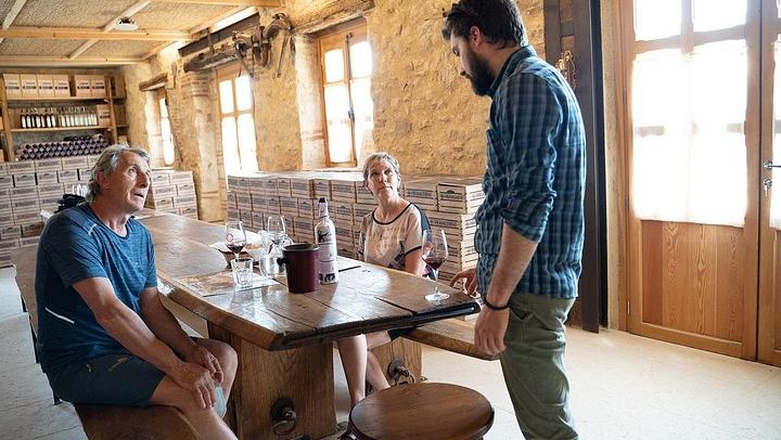 Valpolicella Classica Winery Tasting in Negrar: Hand-Tended Vineyards and Cellar Tour (3/10)