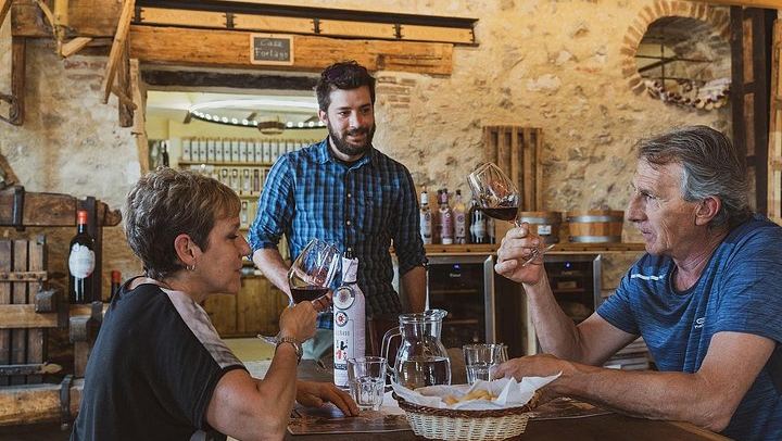 Valpolicella Classica Winery Tasting in Negrar: Hand-Tended Vineyards and Cellar Tour (1/10)