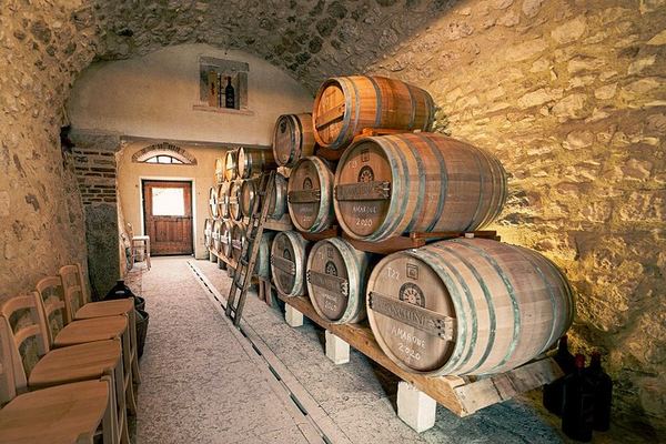 Valpolicella Classica Winery Tasting in Negrar: Hand-Tended Vineyards and Cellar Tour