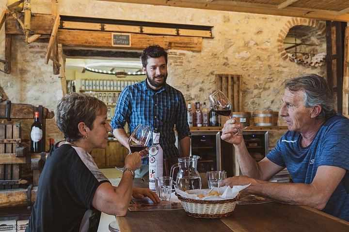 Valpolicella Classica Winery Tasting in Negrar: Hand-Tended Vineyards and Cellar Tour (1/10)