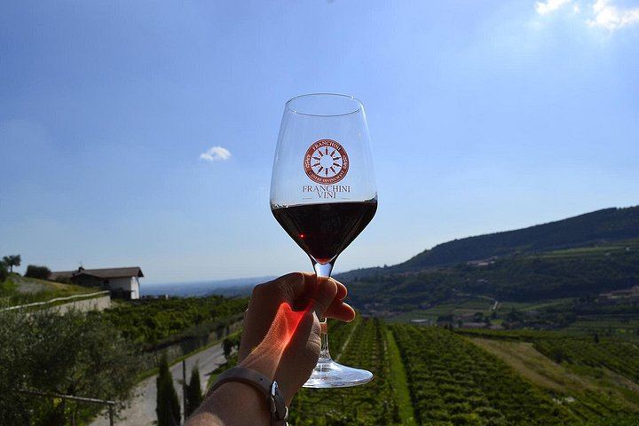 Valpolicella Classica Winery Tasting in Negrar: Hand-Tended Vineyards and Cellar Tour (7/10)