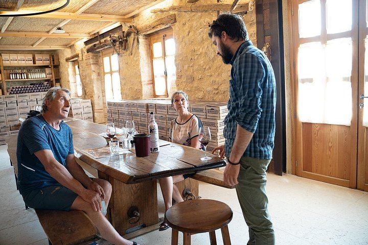 Valpolicella Classica Winery Tasting in Negrar: Hand-Tended Vineyards and Cellar Tour (3/10)