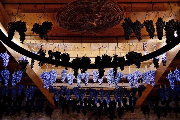 Valpolicella Classica Winery Tasting in Negrar: Hand-Tended Vineyards and Cellar Tour (8/10)
