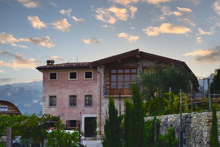 Valpolicella Classica Winery Tasting in Negrar: Hand-Tended Vineyards and Cellar Tour (10/10)