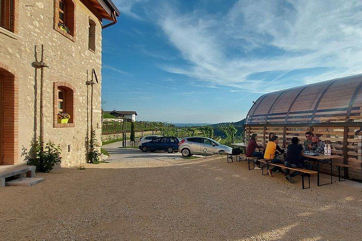 Valpolicella Classica Winery Tasting in Negrar: Hand-Tended Vineyards and Cellar Tour (9/10)