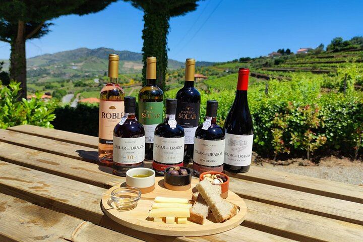 Lamego Guided Wine Tasting at Quinta de Sequeiros with Olive Oil and Honey (6/9)