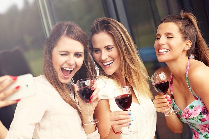 Customized 8-Hour Private Sonoma and Napa Wine Day from San Francisco in an XL SUV (3/12)