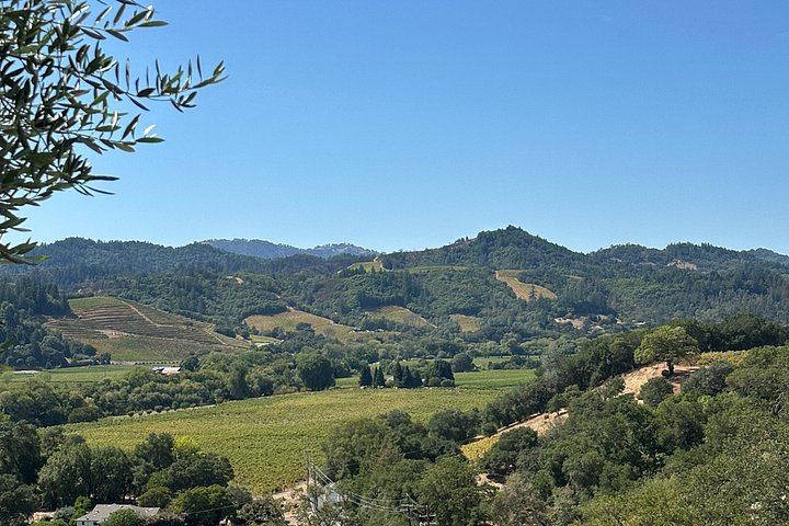 Customized 8-Hour Private Sonoma and Napa Wine Day from San Francisco in an XL SUV (10/12)