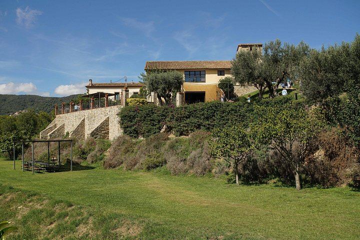 Alella Winery Day from Barcelona: Sailing Yacht Plus Van or E-Bike, 5 Hours (5/7)