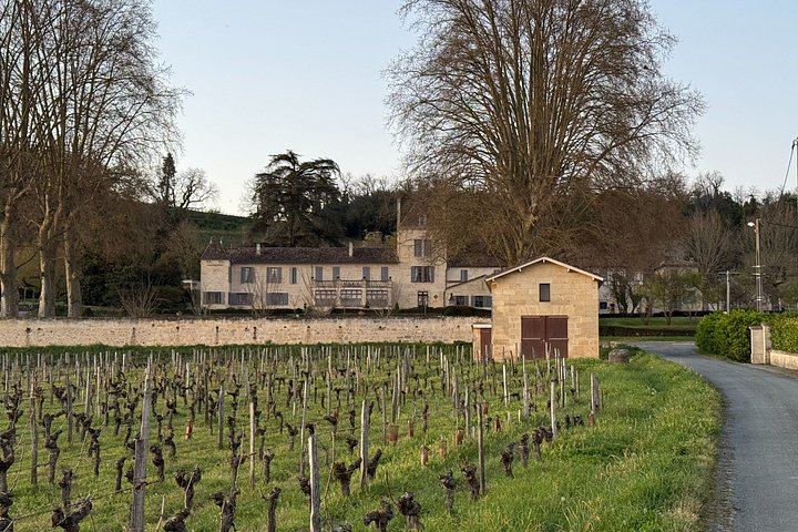 Private Premium Sedan Day in Saint-Émilion: Two Grand Cru Classé Estates and Pomerol (11/12)