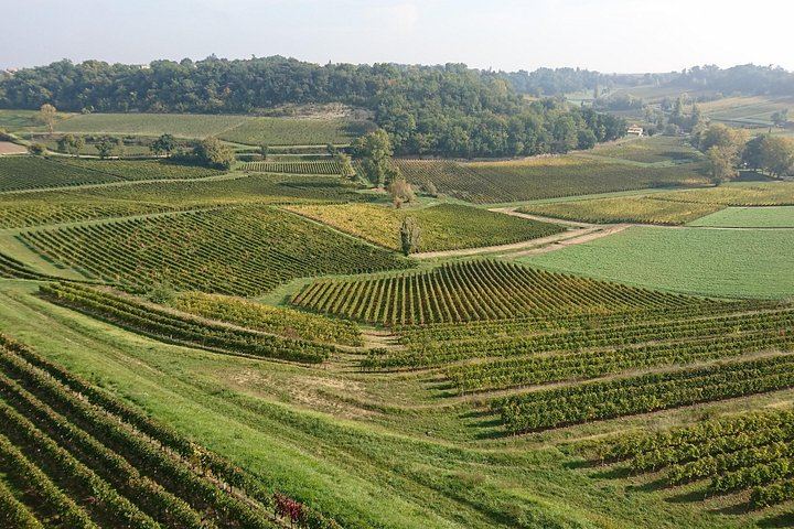Private Premium Sedan Day in Saint-Émilion: Two Grand Cru Classé Estates and Pomerol (8/12)