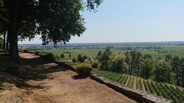 Private Day in Saint-Émilion and Its Châteaux by Luxury Van with Local Guide (2/12)
