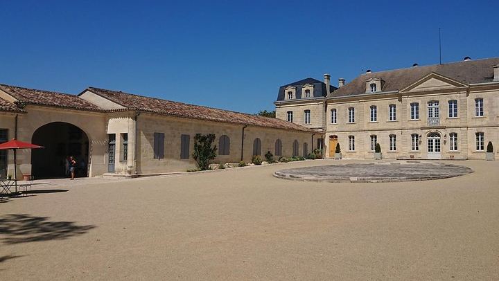 Private Day in Saint-Émilion and Its Châteaux by Luxury Van with Local Guide (3/12)
