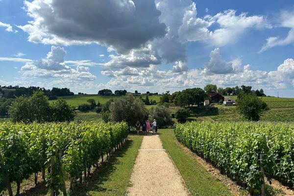Private Day in Saint-Émilion and Its Châteaux by Luxury Van with Local Guide