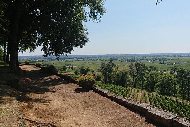 Private Day in Saint-Émilion and Its Châteaux by Luxury Van with Local Guide (2/12)