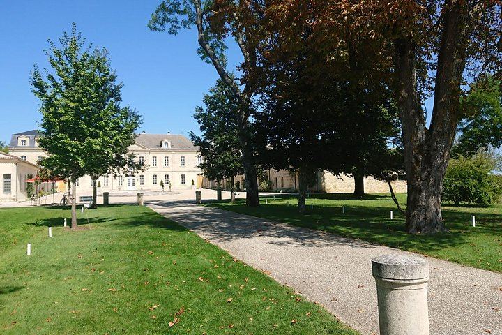 Private Day in Saint-Émilion and Its Châteaux by Luxury Van with Local Guide (11/12)