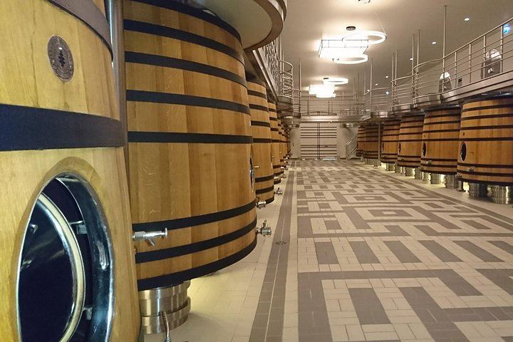 Private Day in Saint-Émilion and Its Châteaux by Luxury Van with Local Guide (9/12)