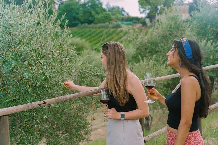 The Tour Guy Tuscany Day Trip from Florence: Siena, Six-Wine Chianti Lunch, San Gimignano (7/12)