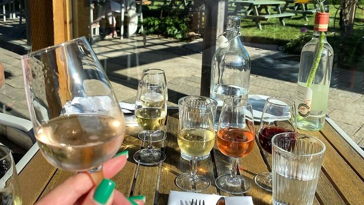 Niagara Afternoon Wine Tour: 4 Wineries with Between the Lines, Ravine and Pillitteri (2/11)