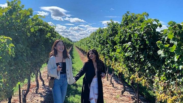 Niagara Afternoon Wine Tour: 4 Wineries with Between the Lines, Ravine and Pillitteri (4/11)