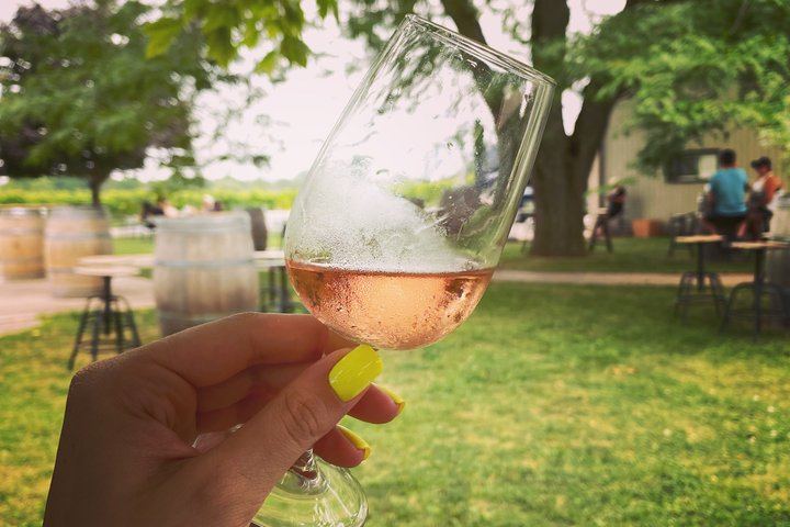 Niagara Afternoon Wine Tour: 4 Wineries with Between the Lines, Ravine and Pillitteri (10/11)