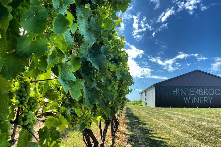 Niagara Afternoon Wine Tour: 4 Wineries with Between the Lines, Ravine and Pillitteri (3/11)