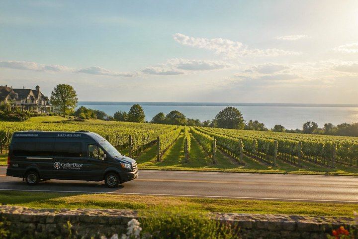 Niagara Afternoon Wine Tour: 4 Wineries with Between the Lines, Ravine and Pillitteri (11/11)