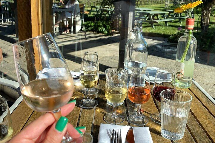 Niagara Afternoon Wine Tour: 4 Wineries with Between the Lines, Ravine and Pillitteri (2/11)