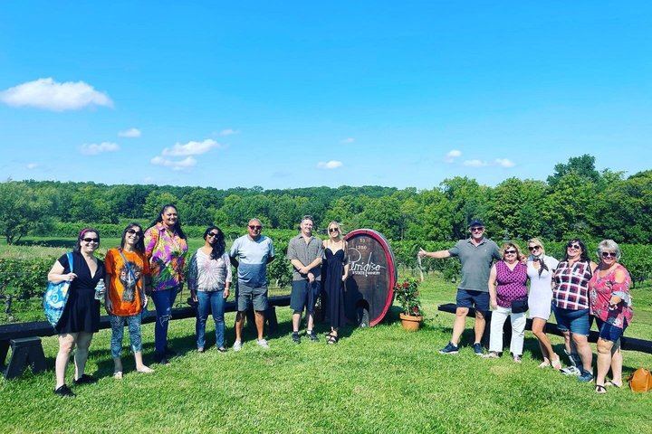 Niagara Afternoon Wine Tour: 4 Wineries with Between the Lines, Ravine and Pillitteri (9/11)
