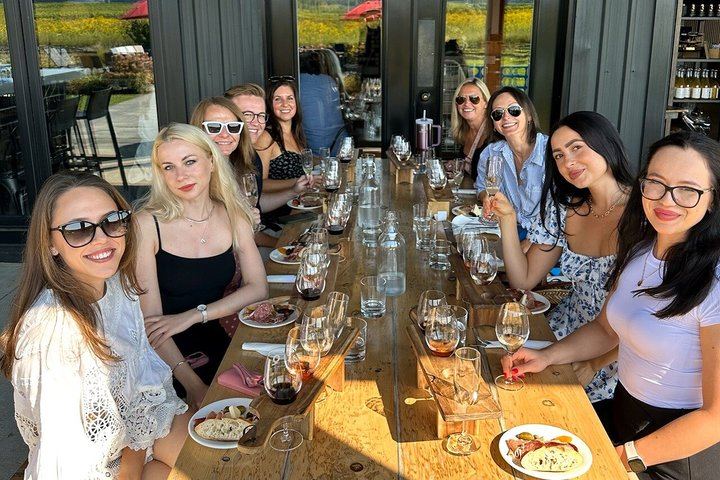 Niagara Afternoon Wine Tour: 4 Wineries with Between the Lines, Ravine and Pillitteri (6/11)