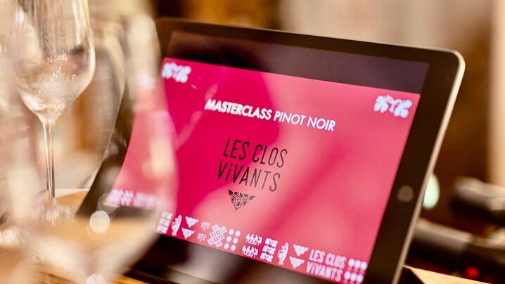 Pinot Noir Masterclass in Dijon: Village to Grand Cru Wine Tasting with a Burgundy Expert (3/12)