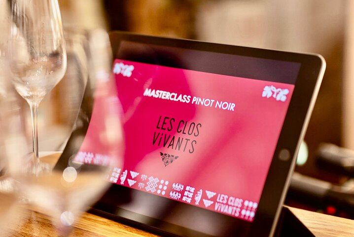 Pinot Noir Masterclass in Dijon: Village to Grand Cru Wine Tasting with a Burgundy Expert (3/12)