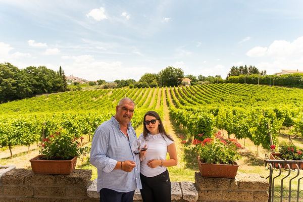Sella delle Spine Taurasi: Vineyard Walk, Cellar and Three DOCG Wines with Castle Visit