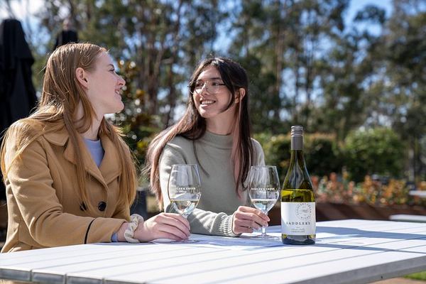Small-Group Hunter Valley Wine and Cheese Day Tour from Sydney, Pokolbin Boutique Wineries