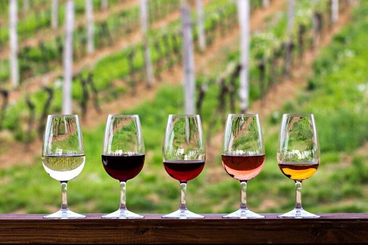 Stellenbosch Guided Wine Walk: 8 Tastings at Tokara, Thelema and Zorgvliet (8/11)