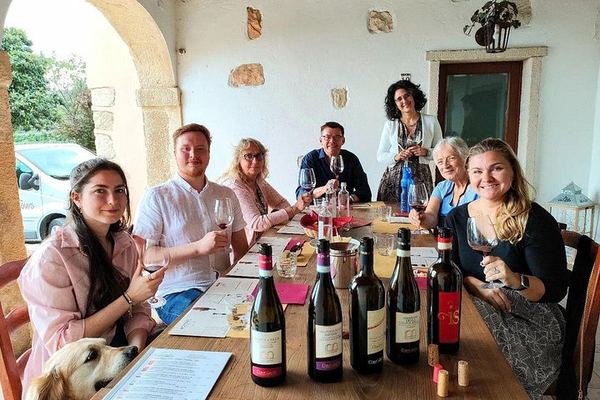 Pagus Half-Day Amarone Wine Tour from Verona with San Giorgio di Valpolicella Stop
