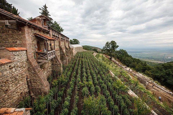 Fully Private Full-Day Kakheti Tour: Sighnaghi, Bodbe and Khareba Wine Tunnel (12/12)