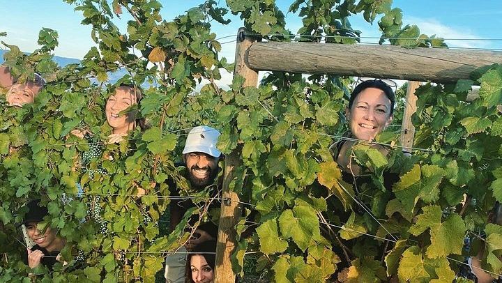 West Kelowna Afternoon Wine Tour with Guide Cherry: 4 Wineries, 45 Minutes Each (2/7)