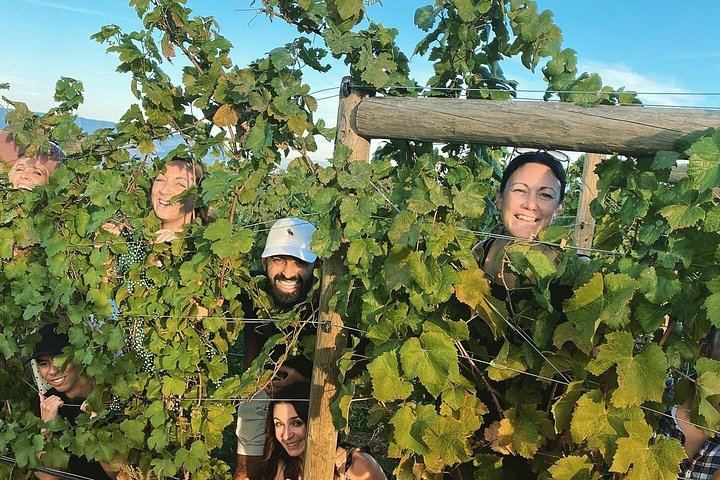West Kelowna Afternoon Wine Tour with Guide Cherry: 4 Wineries, 45 Minutes Each (2/7)