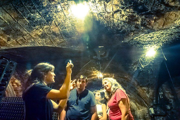 Private Full-Day Montserrat Trip with Own Guide, Black Virgin and Cava Cellar Tasting (8/8)