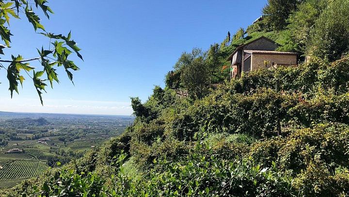 Prosecco Hills Day Trip from Venice by Train: Two Wineries and Family Osteria Lunch (4/9)