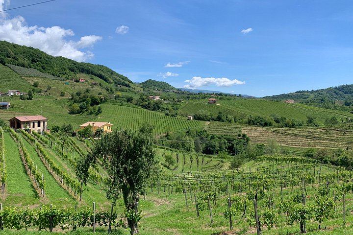Prosecco Hills Day Trip from Venice by Train: Two Wineries and Family Osteria Lunch (9/9)