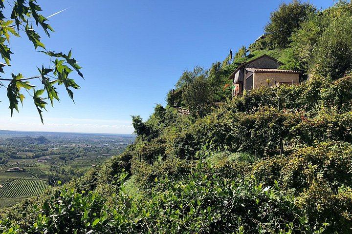 Prosecco Hills Day Trip from Venice by Train: Two Wineries and Family Osteria Lunch (4/9)