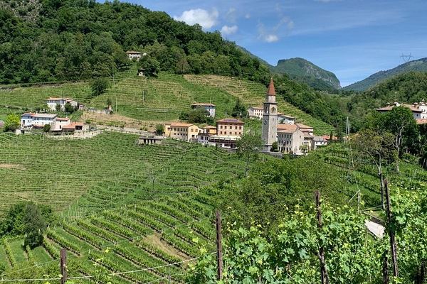 Prosecco Hills Day Trip from Venice by Train: Two Wineries and Family Osteria Lunch