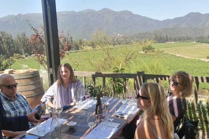 Private Organic Wine Tour in Casablanca Valley with Boutique Wineries and Lunch (9/12)