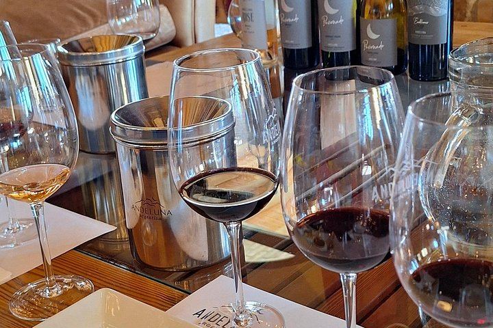 Private Uco Valley Wine Day with Driver: Bousquet, Salentein and Andean Lunch (11/12)