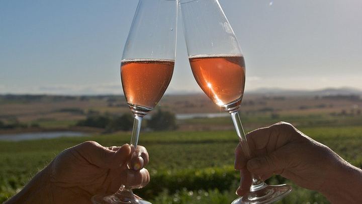 African Story 8-Hour Winelands Tour: Paarl, Franschhoek and Stellenbosch Estates (1/12)
