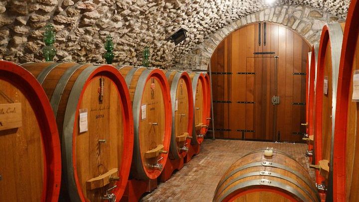 Pagus Full-Day Valpolicella Tour from Verona: Two Wineries, Amarone and Osteria Lunch (2/9)