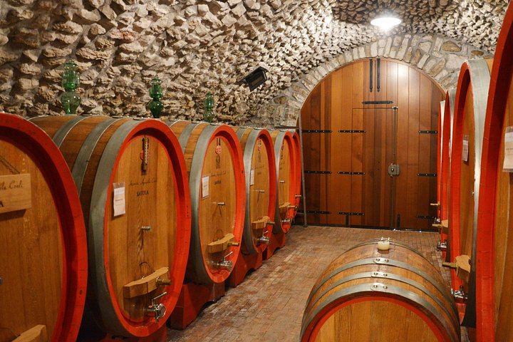 Pagus Full-Day Valpolicella Tour from Verona: Two Wineries, Amarone and Osteria Lunch (2/9)