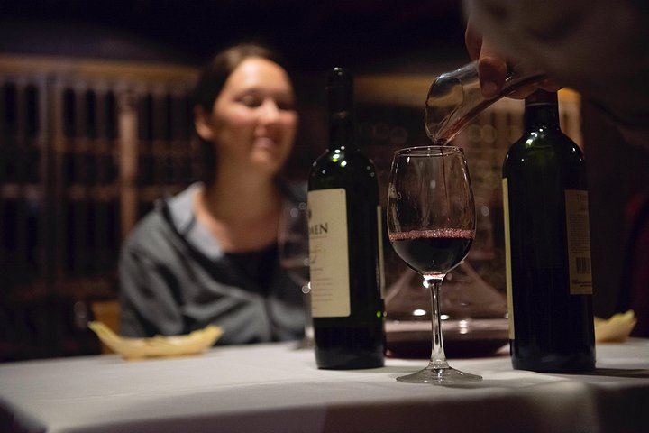 Private Horseback Wine Tour from Santiago: Organic Wine and Country Grill (11/12)